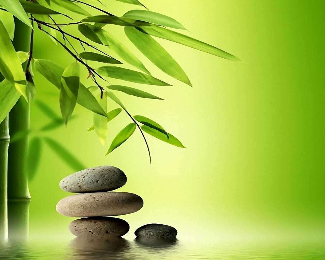 REMEDIAL MASSAGE&nbsp; &nbsp; &nbsp; AVAILABLE